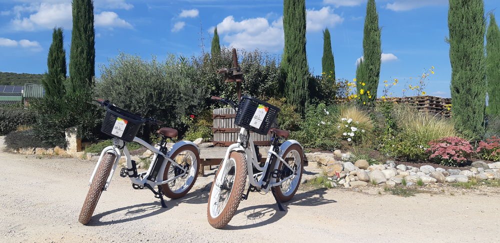 Roue Libre - Saint Maximin la Sainte Baume