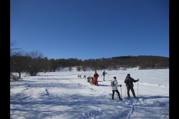 ski de fond au plateau