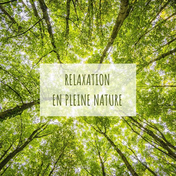 Relaxation en Pleine Nature