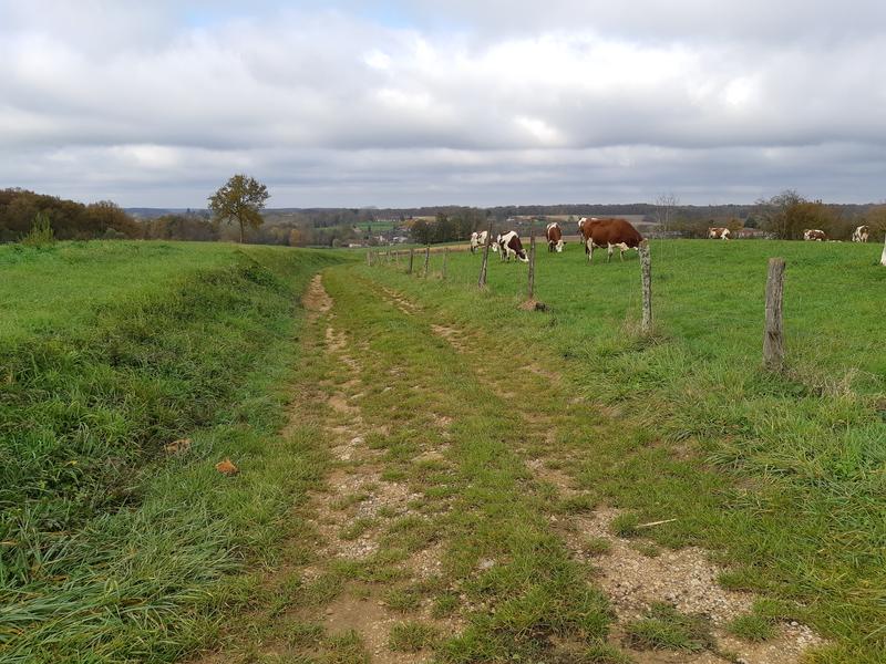 Fougemagne - Coligny