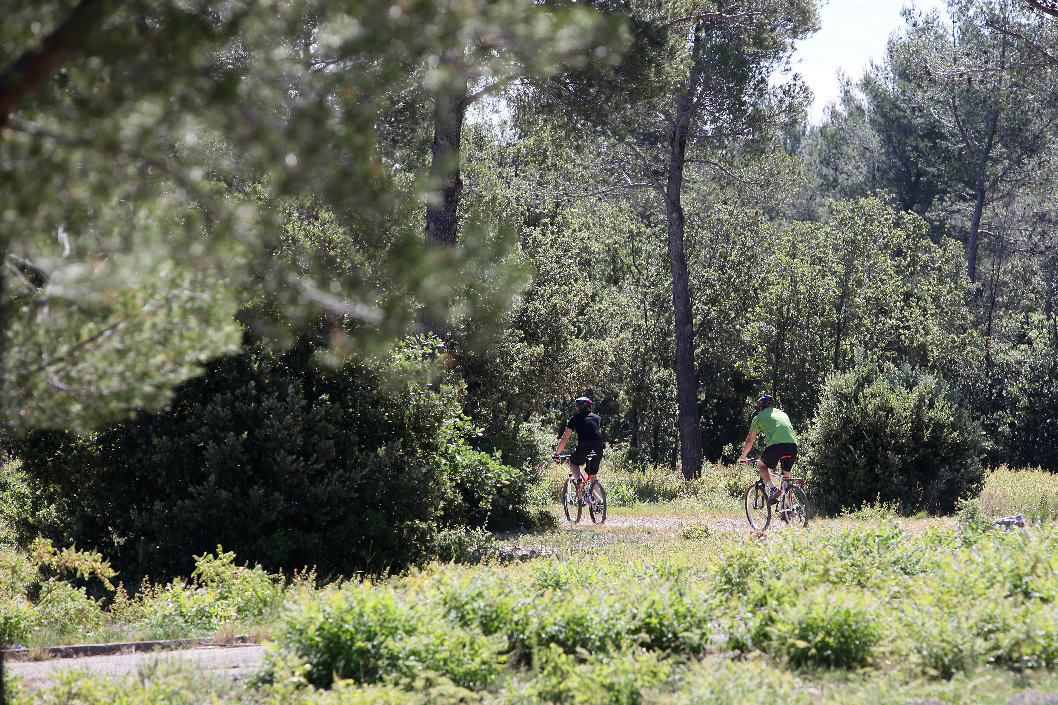 Ceyreste : Fontblanche - circuit 3, Ceyreste - photo 7