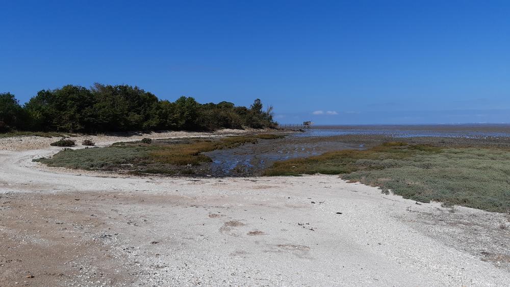 RNN baie d'Yves