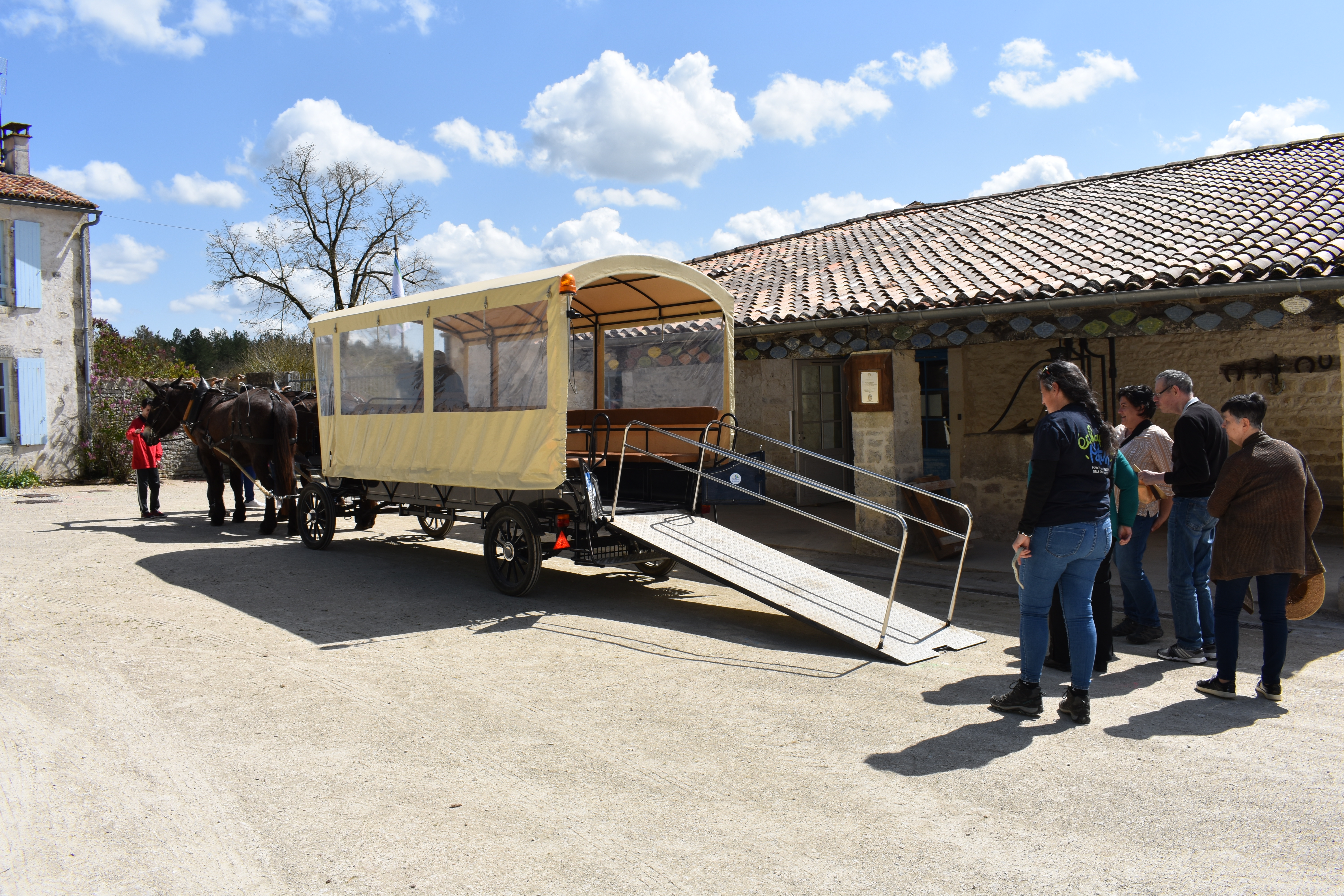 Safari Asinerie en attelage