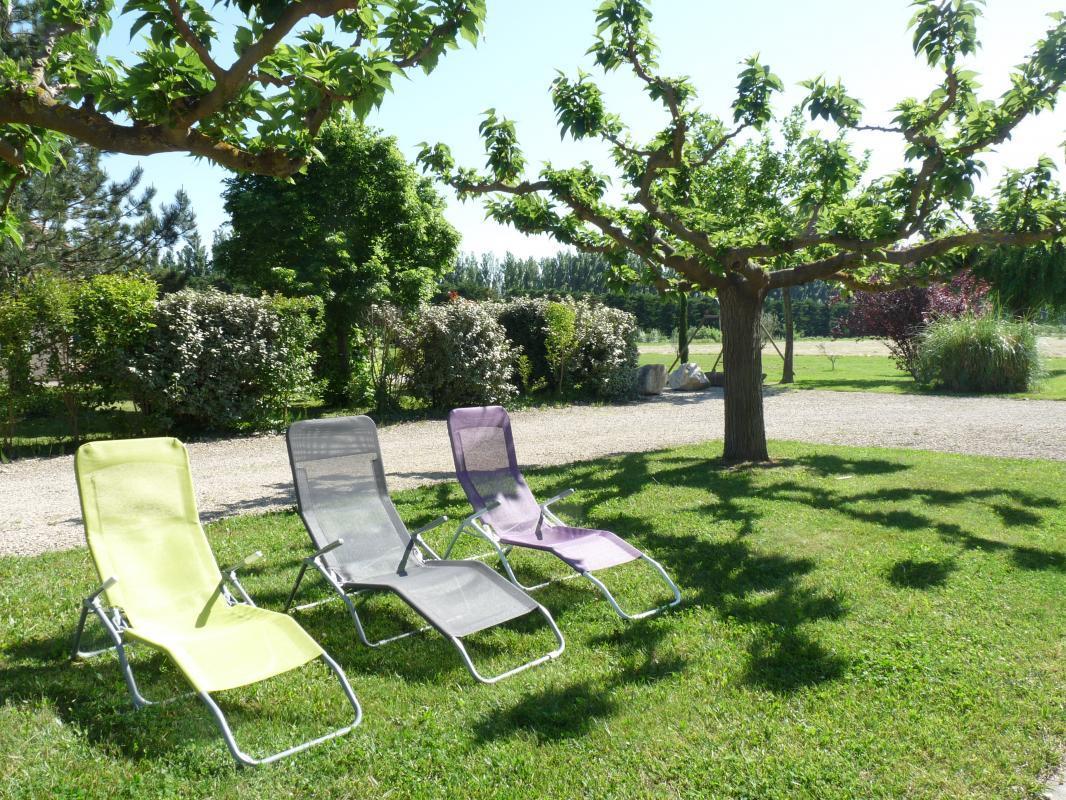 La Cardabelle, Mollégès - photo 22