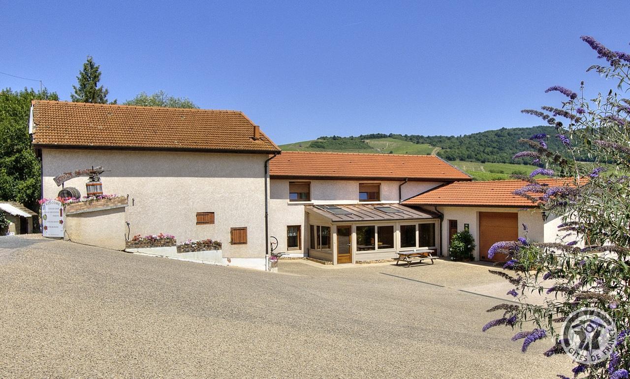 Gîte du Chais sur un Domaine viticole comportant 3 Gîtes à Fleurie dans le Beaujolais des Crus - vignoble - Rhône.