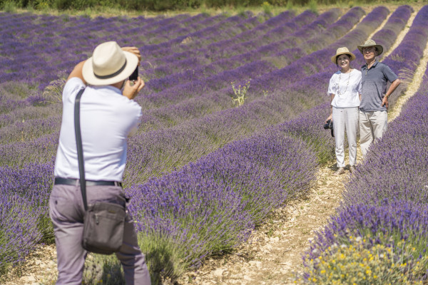 Tour Lavande Journée Valensole