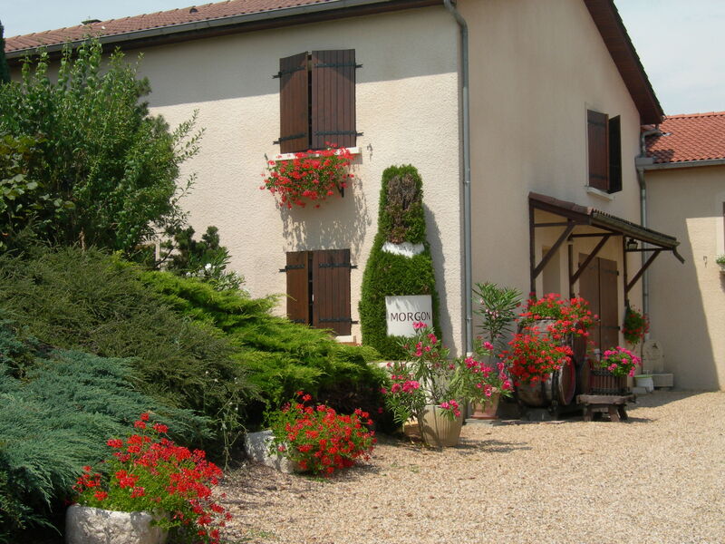 Vignobles Bulliat à Villié-Morgon