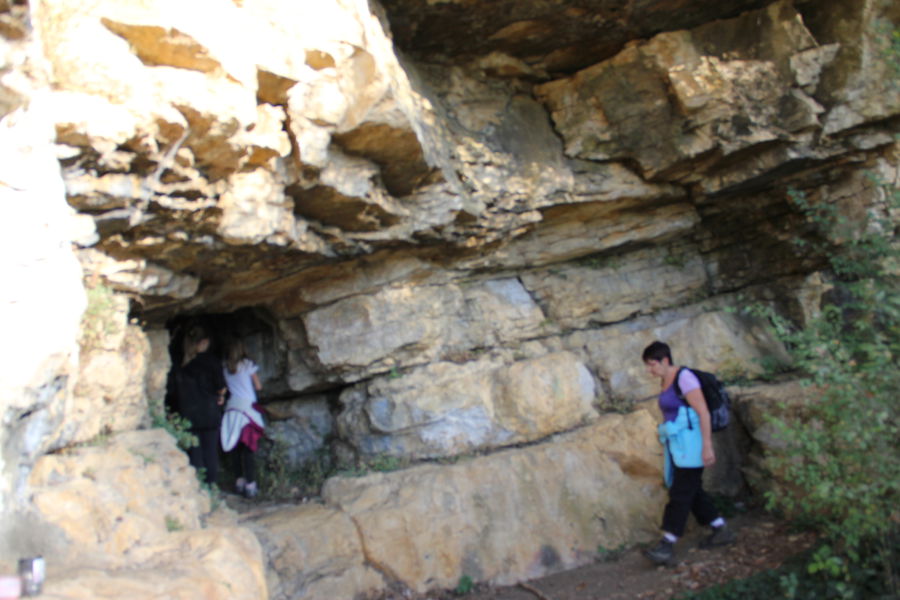 Groote de La Roche - Salavre