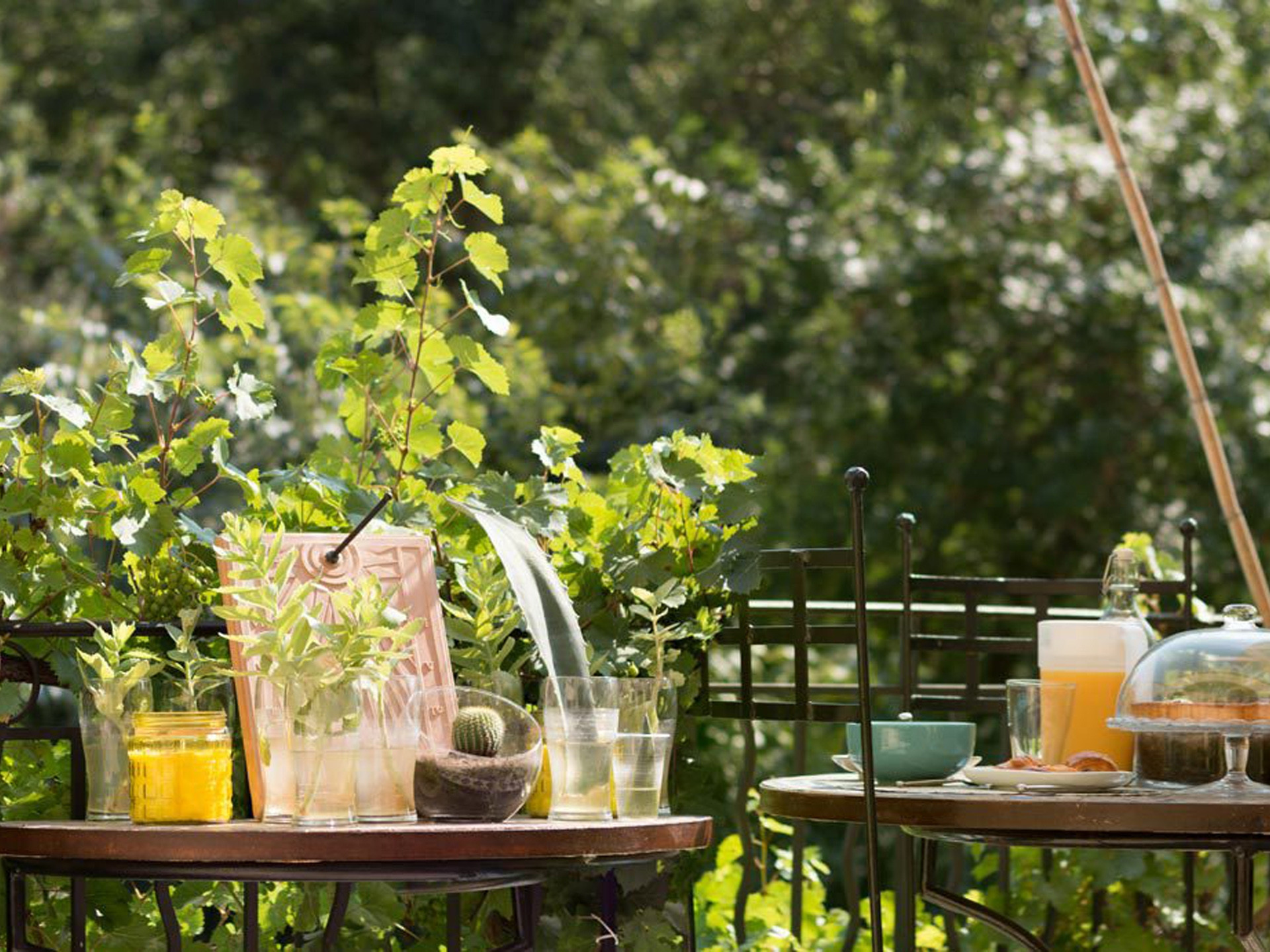 Au bord de l'Arc, Ventabren - photo 3