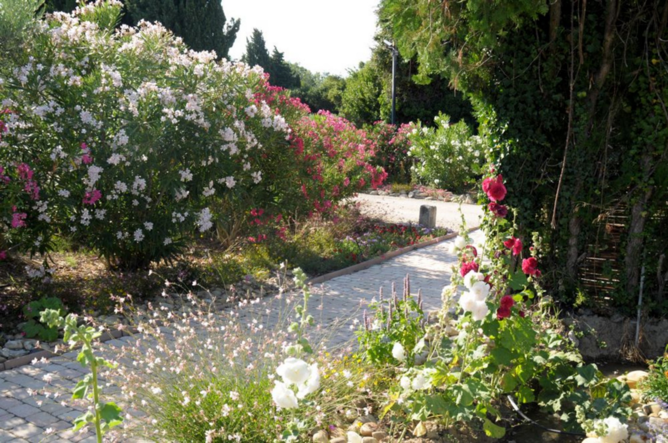 Le Jardin d'Alcinoos — photo 2
