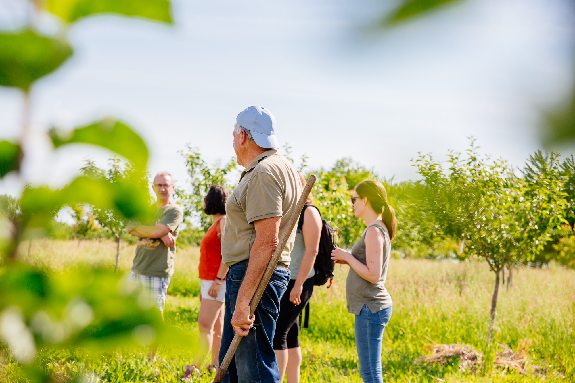 Le verger de l'association Mémoire Fruitière des Charentes