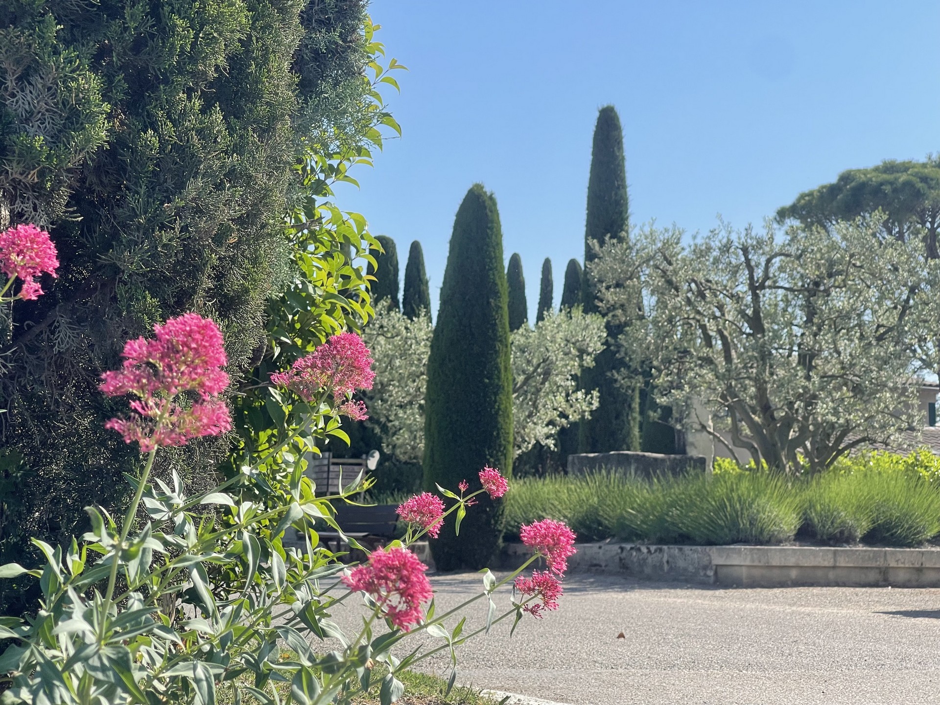 Camping Monplaisir - photo 5