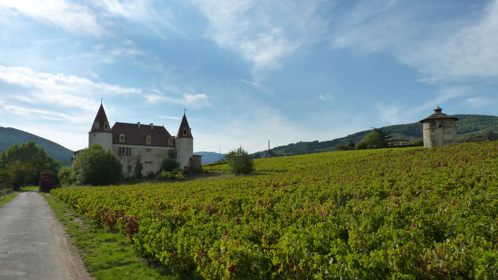 Château de la Palud - Quincié