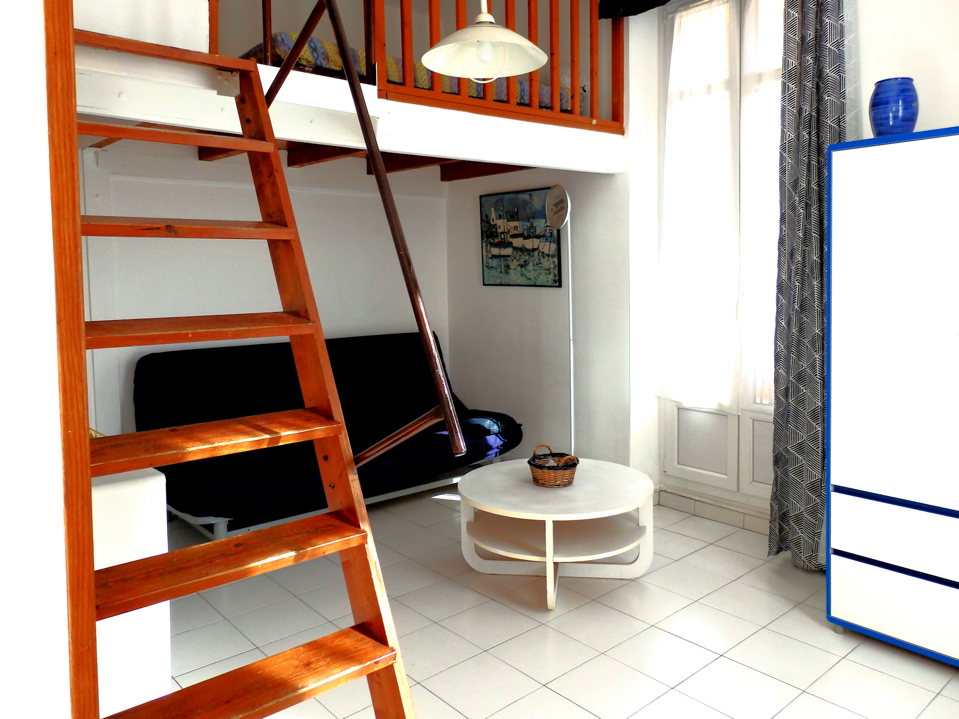 Anemone, Cassis - photo 3