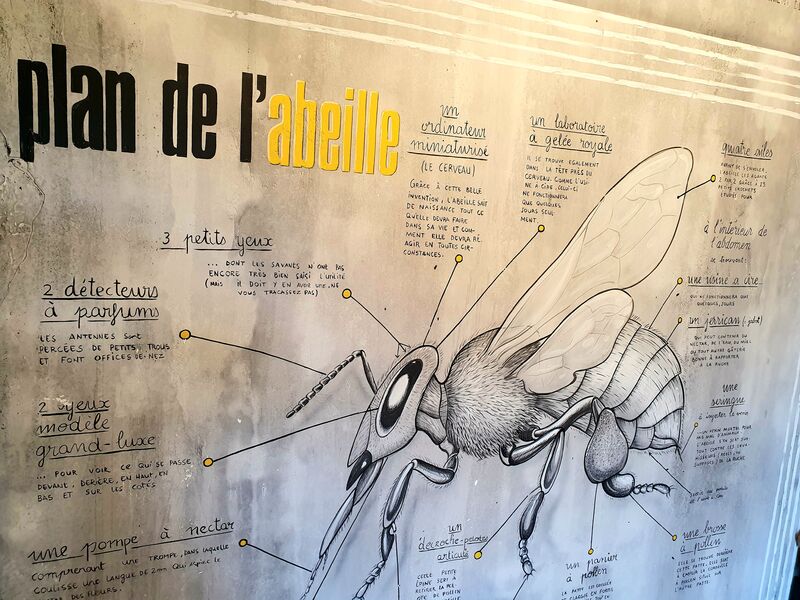 Miellerie des Gorges de la Loire