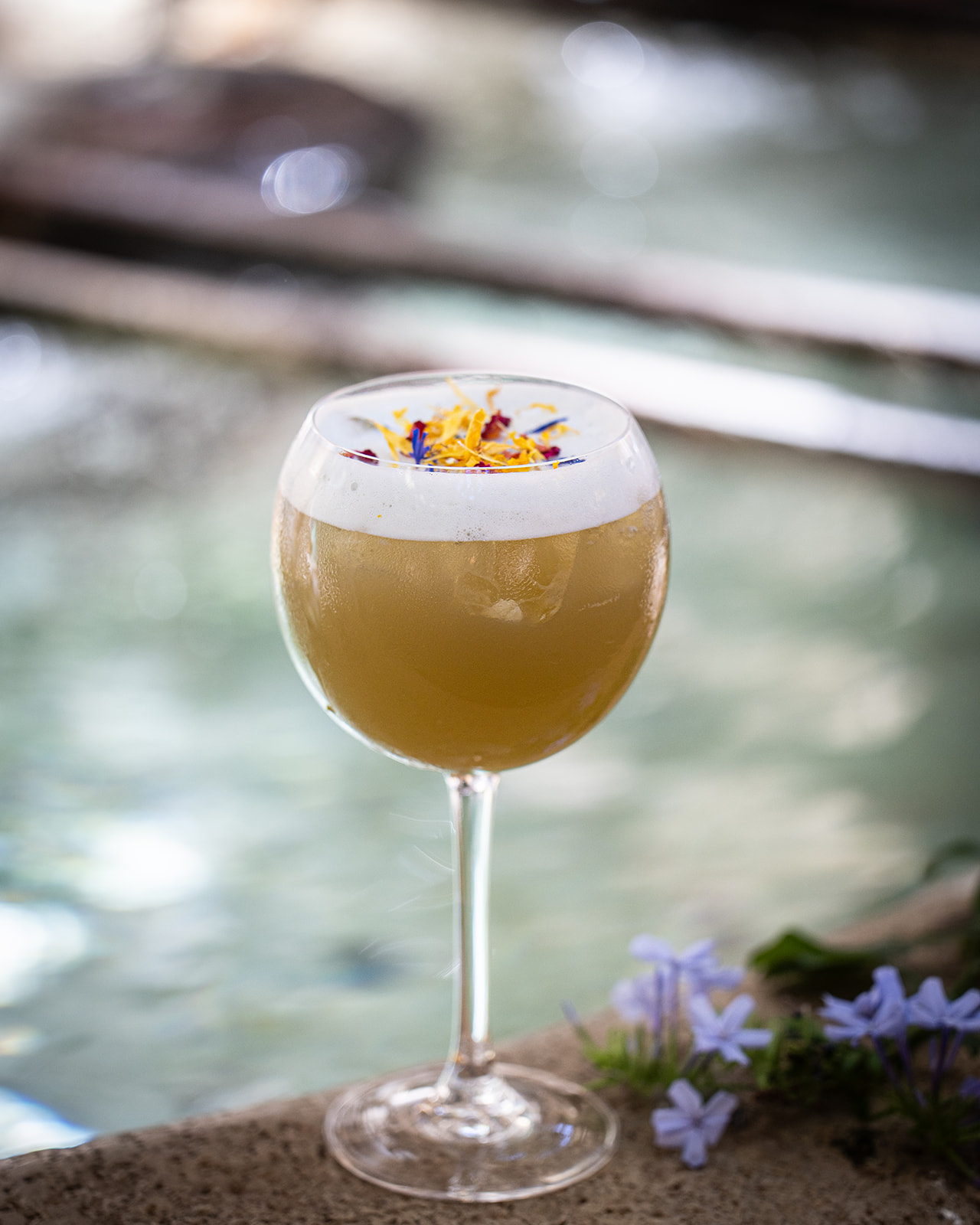 Brasserie de l'Archevêché, Aix-en-Provence - photo 50