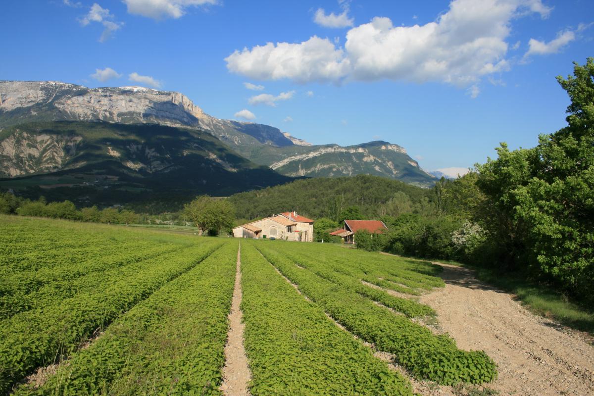 La Ferme d'ausson avec la montagne de Glandasse