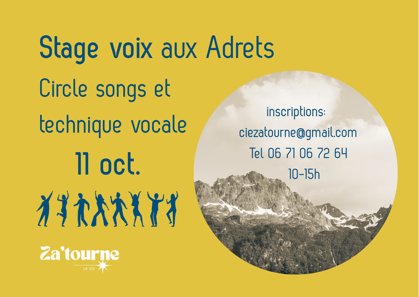 Stage voix