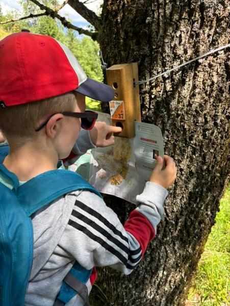 Course d'orientation