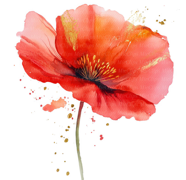 ANNULE - Atelier - Aquarelle fleurs d'été