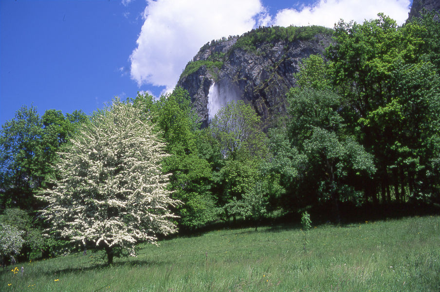 cascade d'Arpenaz