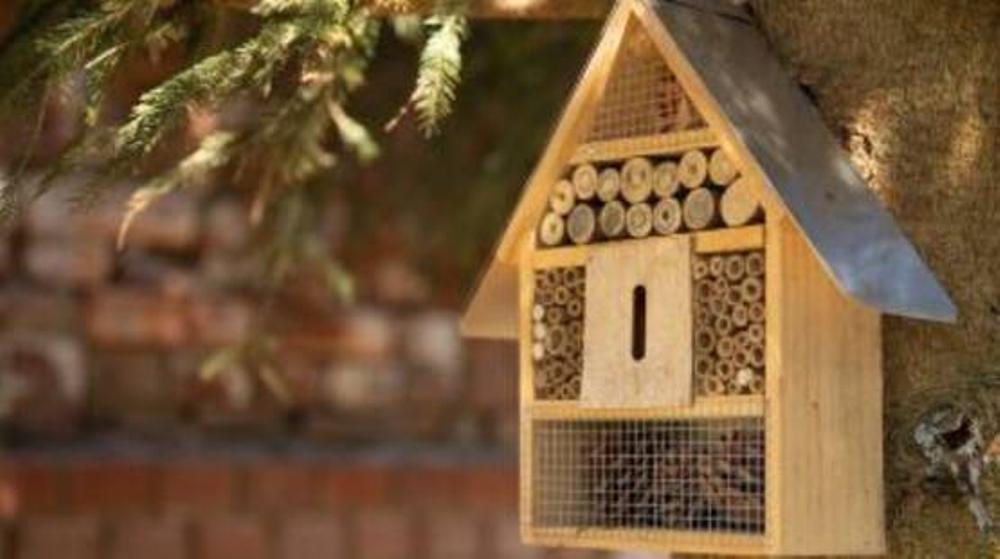 Les ateliers du jardin : Fabrication d'un hôtel à insectes_Allex