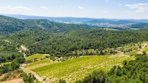 Domaine implanté sur 30 ha de vignes à Cuers