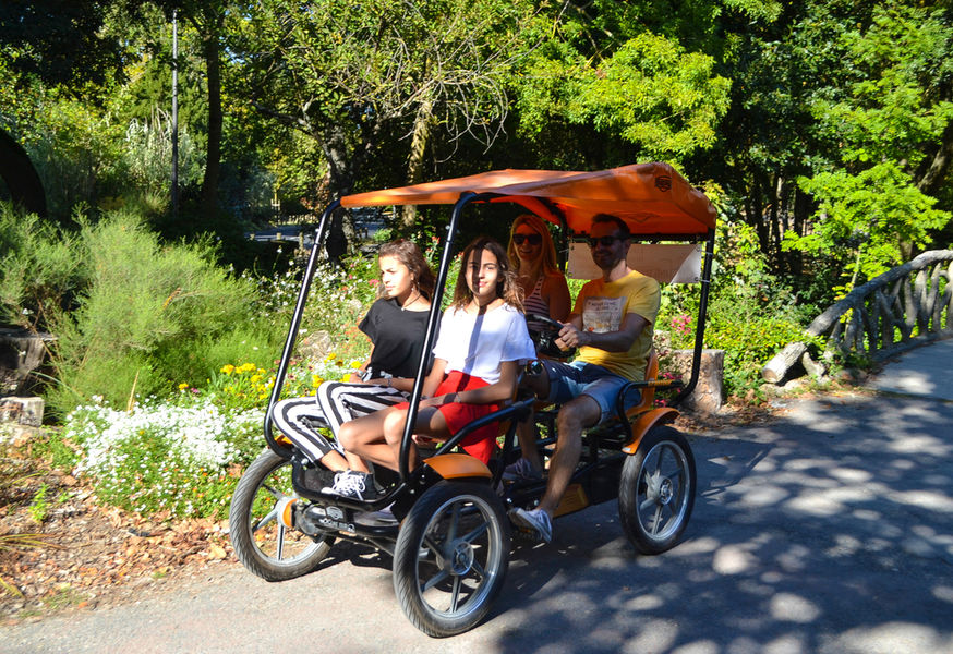 UNE BALADE DANS LES PARCS