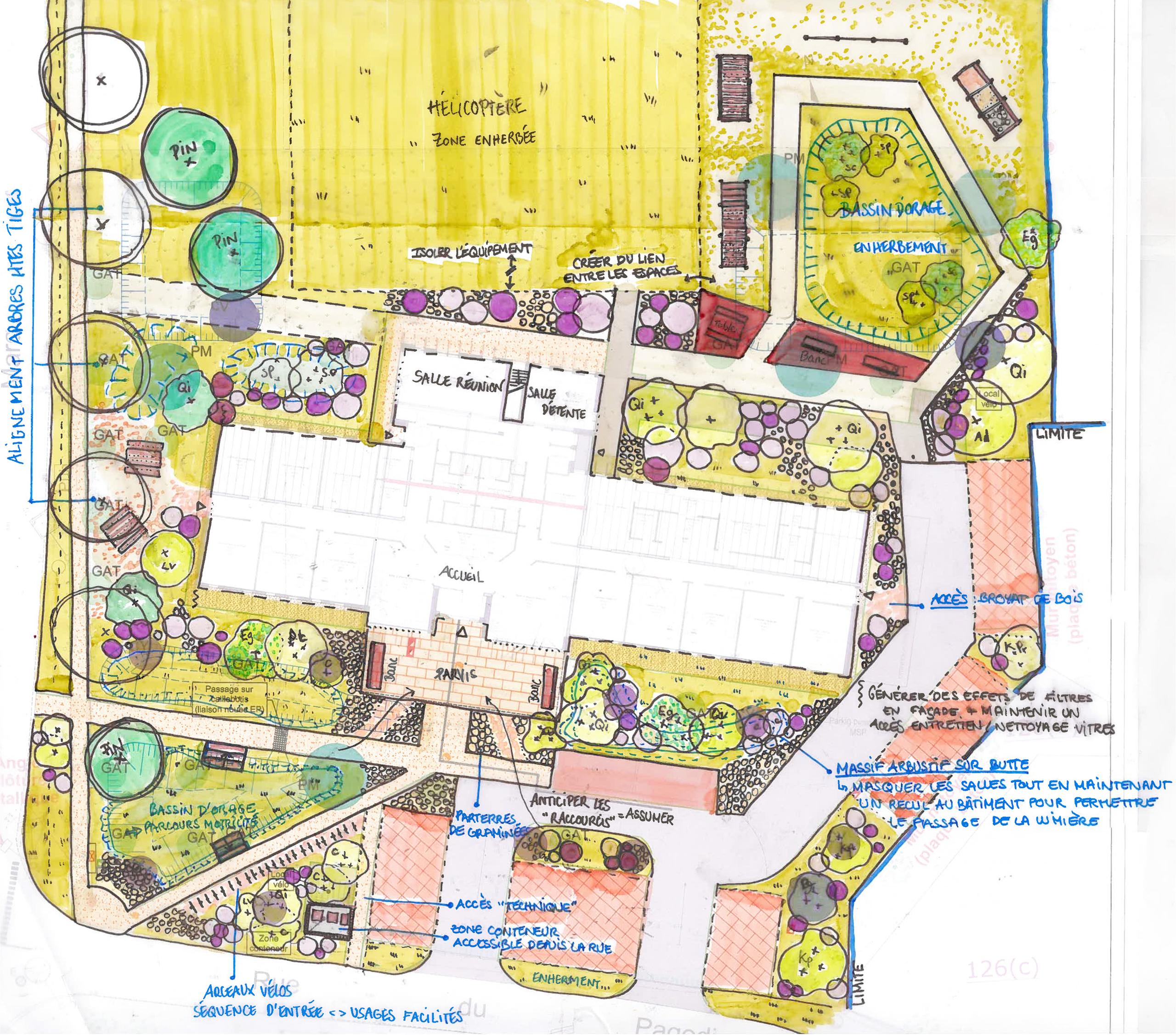 Semaine de l'Arbre et du Paysage : Atelier "Palette végétale" et plantation participative à la Maison de santé
