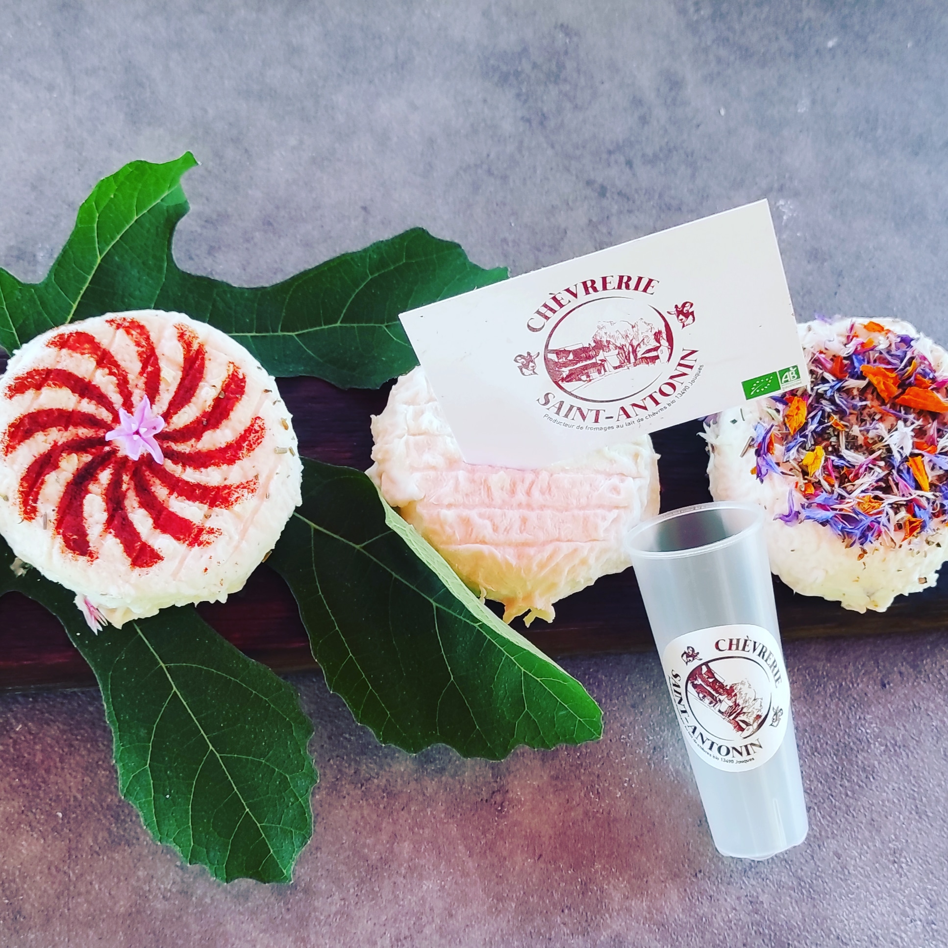 Chèvrerie Saint Antonin