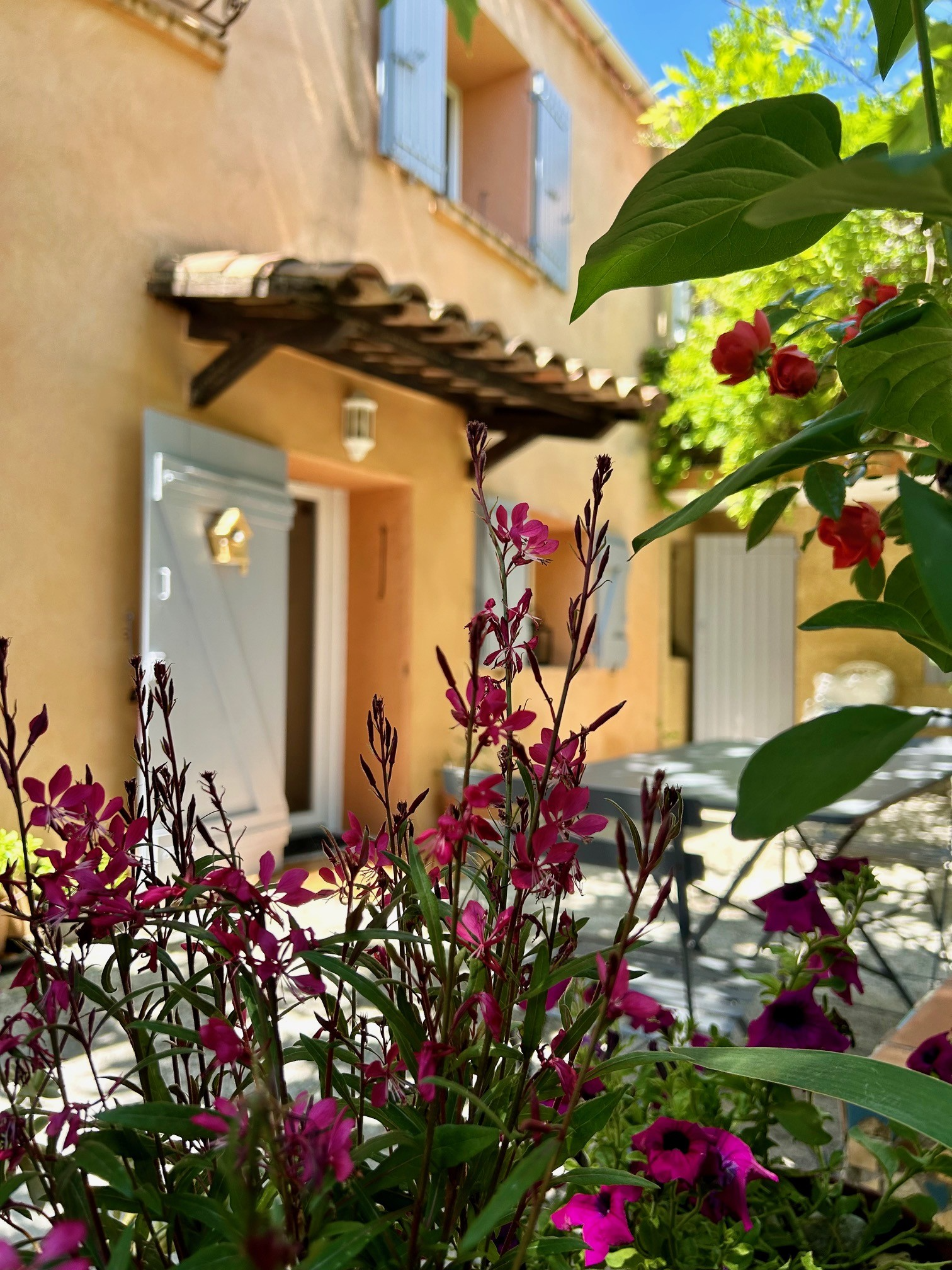 La Glycine, Saint-Marc-Jaumegarde - photo 11