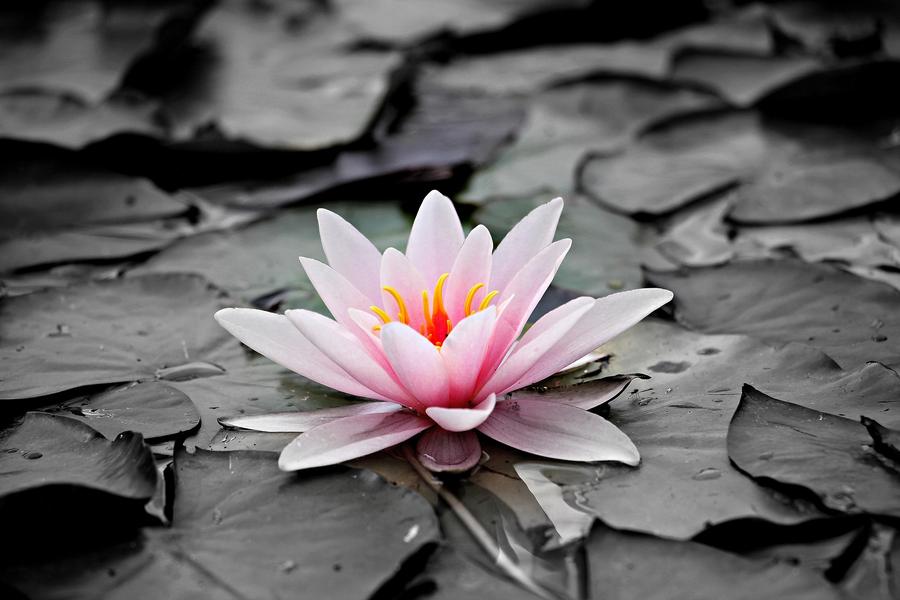 cours de Yoga_Usson-en-Forez