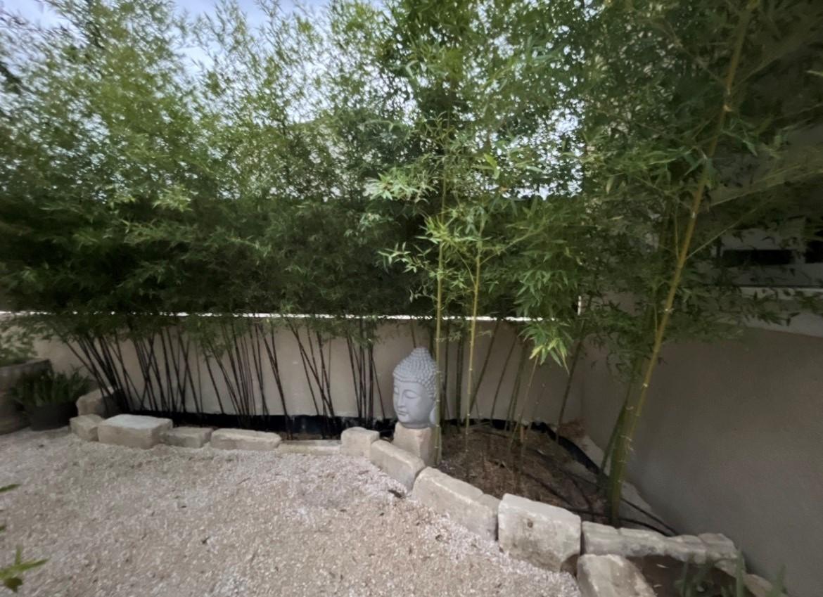 Villa Magnolia, Mas-Blanc-des-Alpilles - photo 51