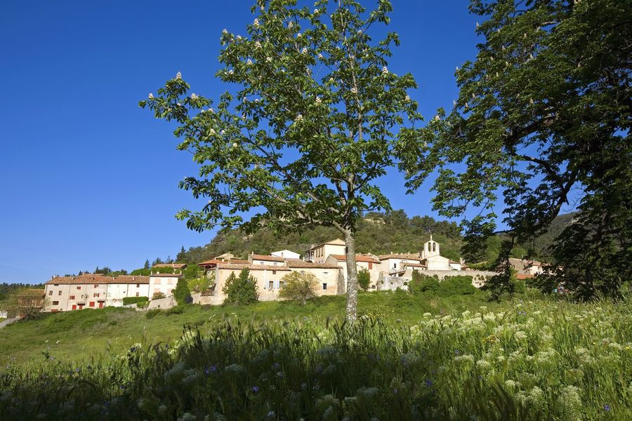 Vitrolles en Luberon