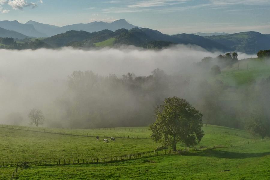 Le Château partagé_Dullin