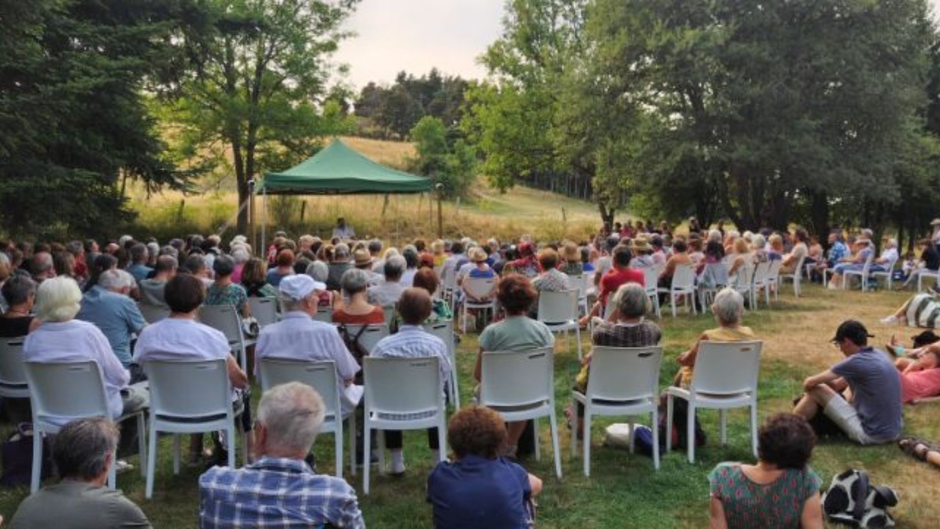 Lectures sous l'arbre