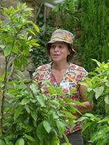 Visite Botanique : Les astuces du règne végétal avec Cloé Flament, Naturellemen…