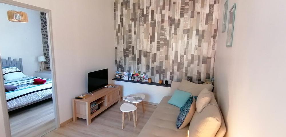 Salon du gîte Chante Bise aux Gîtes de Sylilanse à St Pons