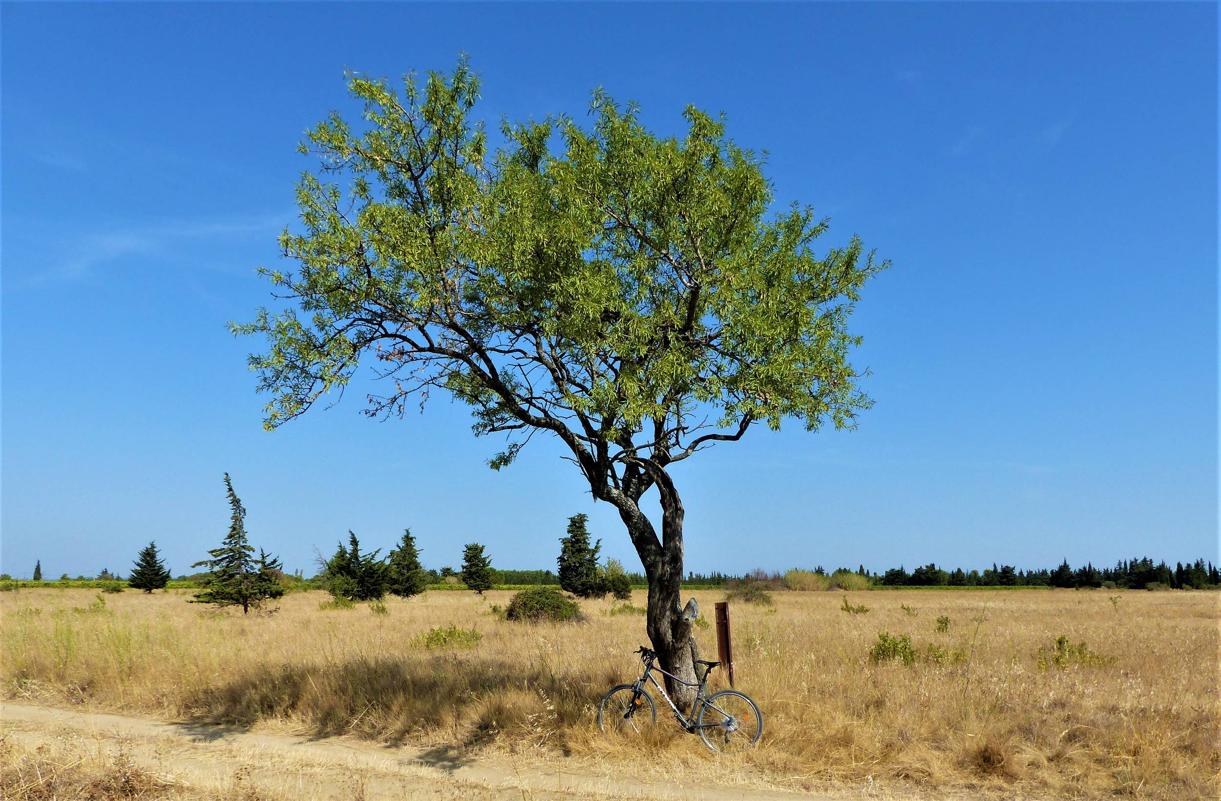 SAINT-RÉMY-DE-PROVENCE - La Routo : pèr draio e pèr camin à VTT — photo 3