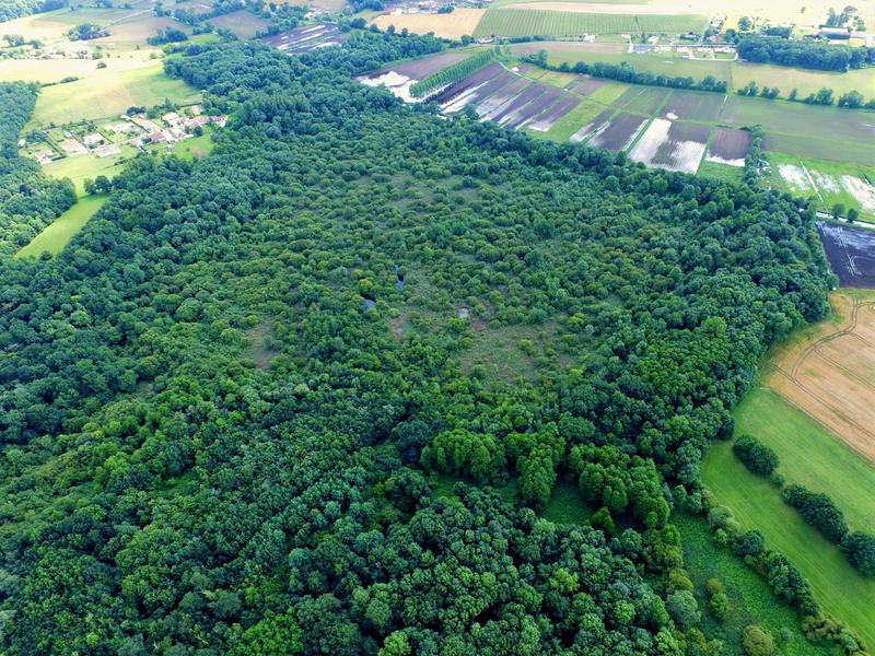 Tourbière de Bois Mou