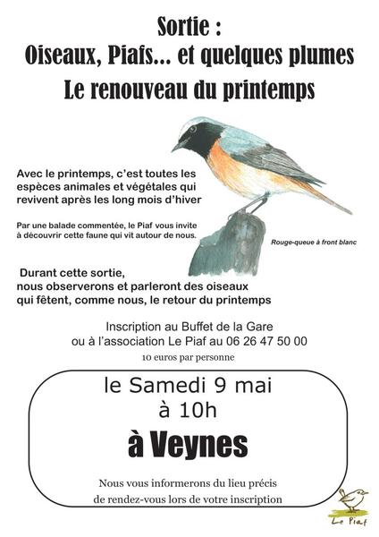 Promenade ornithologique