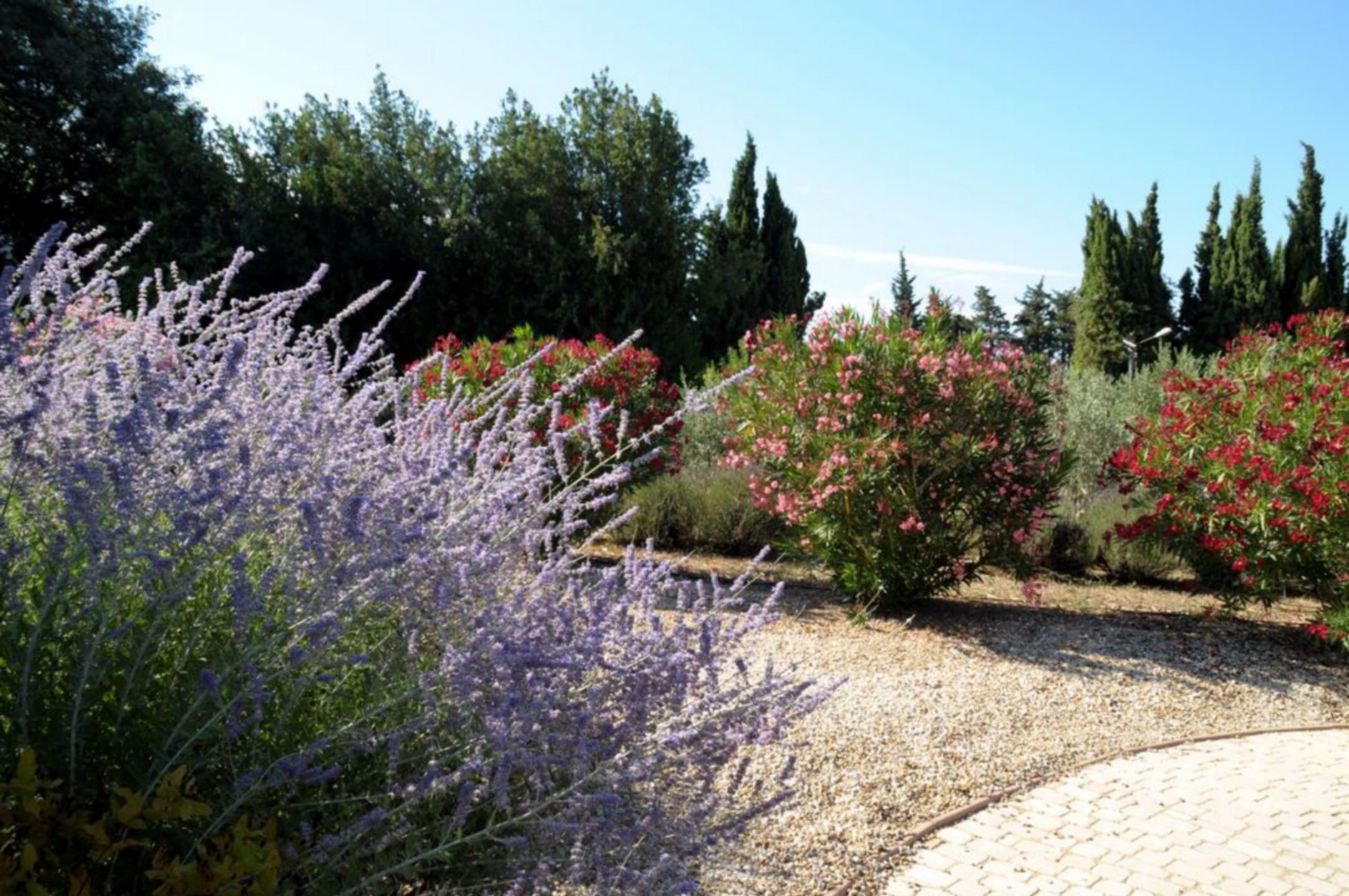 Le Jardin d'Alcinoos