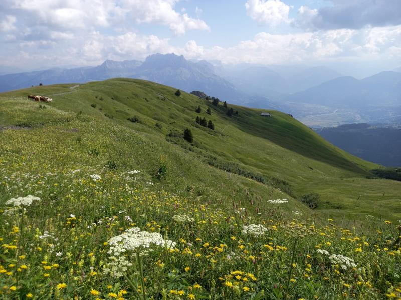 La cabane du Petit Pâtre – sentier pédestre_Cordon