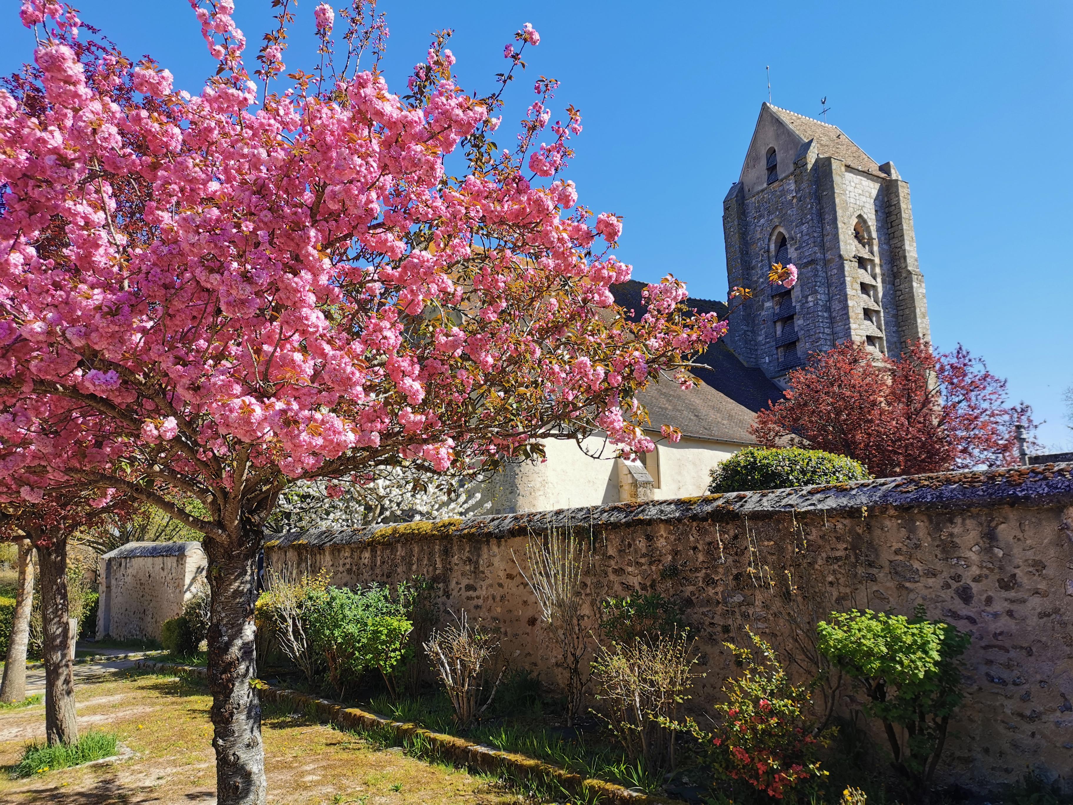 Eglise Sainte Marie_Avrainville