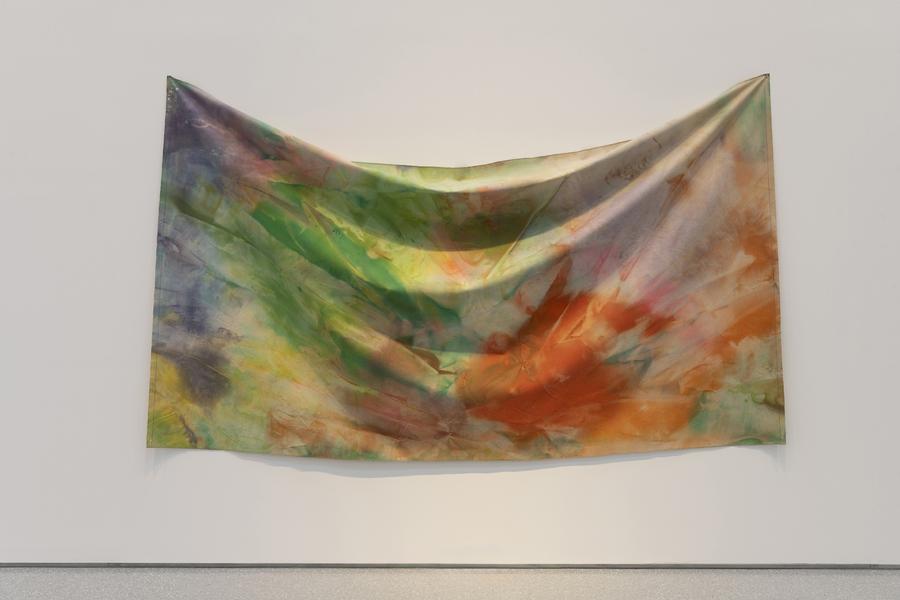 Vue de l'exposition Flying Colors. Dialogue avec les collections du Minneapolis Institute of Art, MAMC+, 2026  P