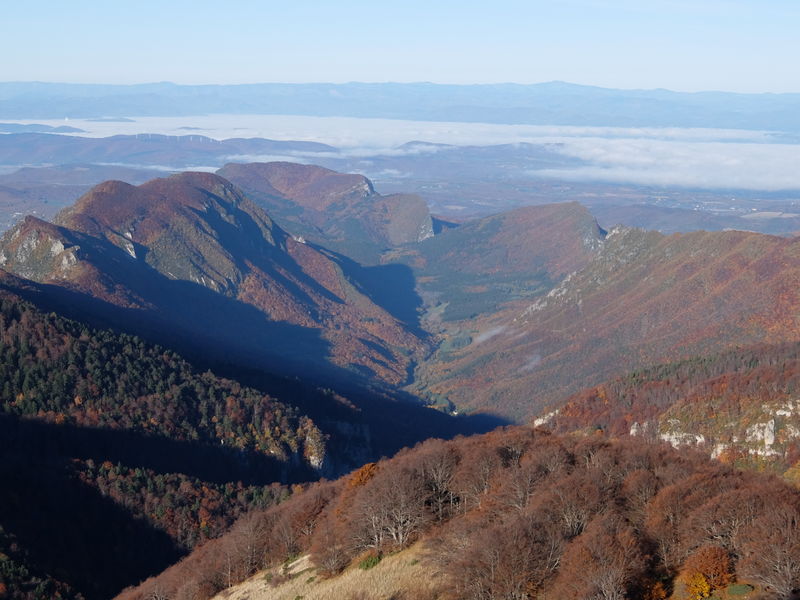 Forêt de Saoû