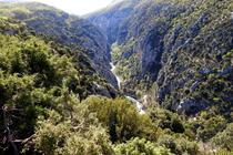 Vue dans les gorges