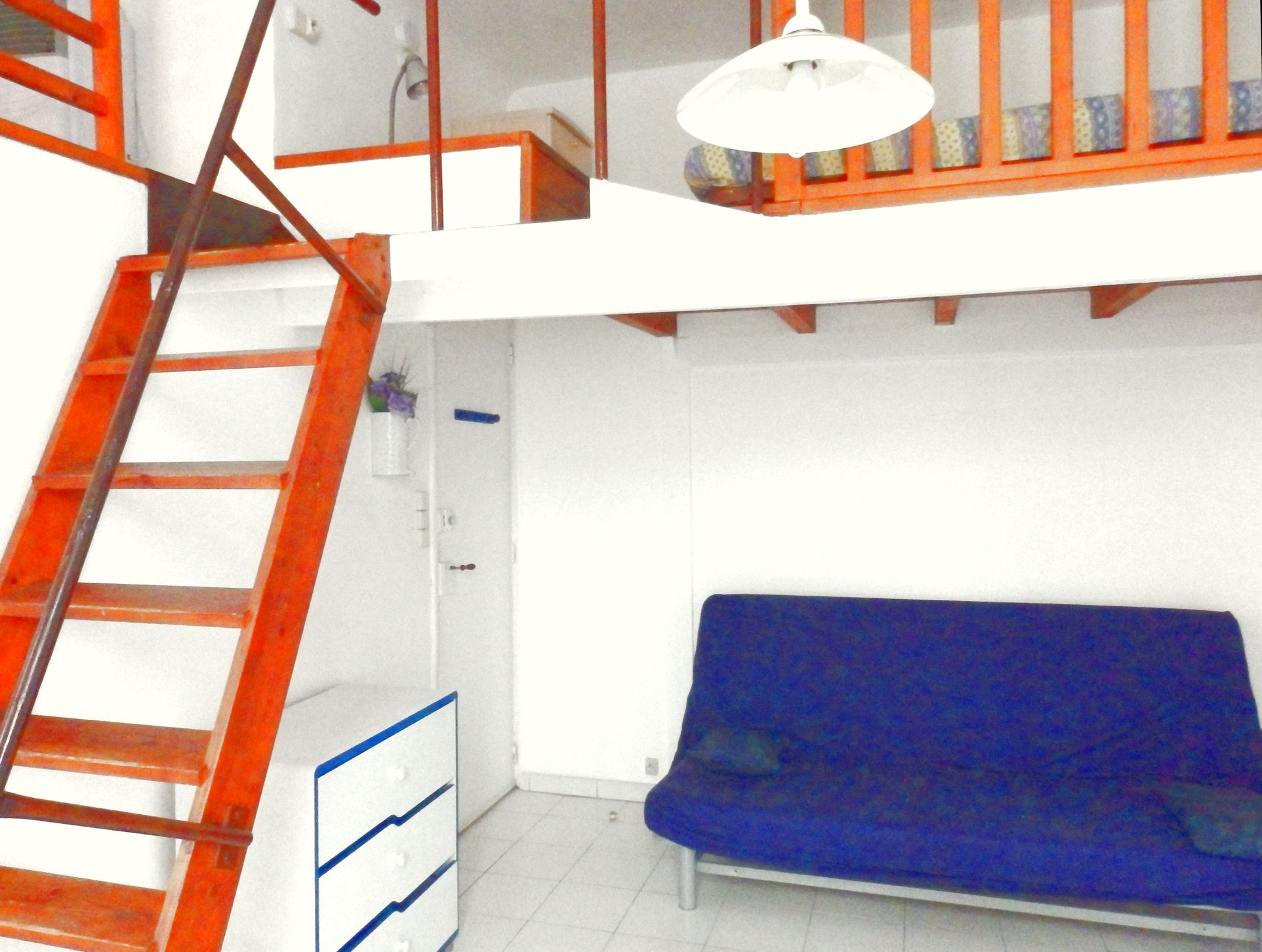 Anemone, Cassis - photo 2