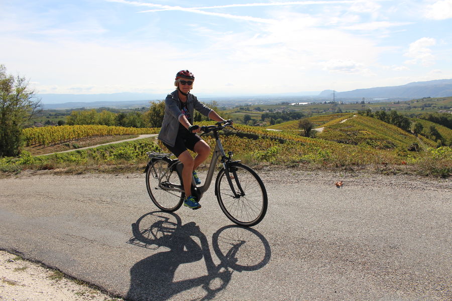 Circuit VAE : Les Planards