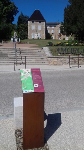 Balade Côte du Py Villié Morgon